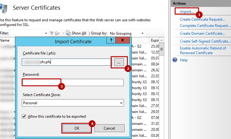 Установка SSL сертификата на Microsoft IIS 8.x (файл *.pfx) - 3580