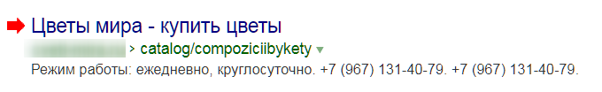 Как сделать расширенный сниппет в Яндексе - 4316