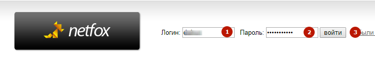 Как прописать NS записи на netfox.ru - 9281