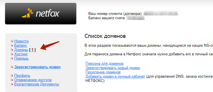 Как прописать NS записи на netfox.ru - 8842