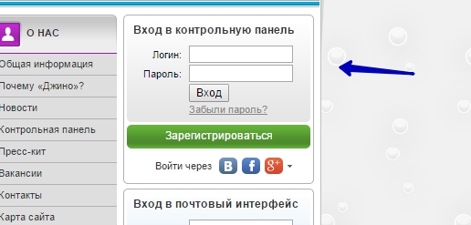 Как прописать NS записи для домена на jino.ru