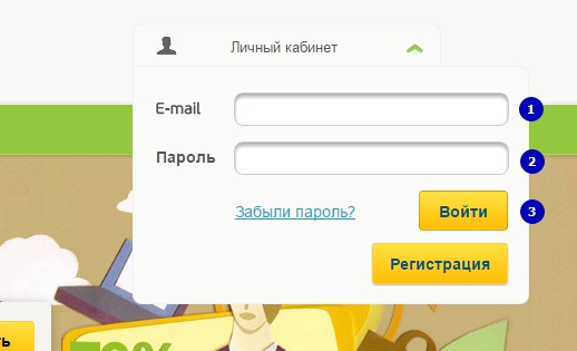Как прописать NS записи для домена на reggi.ru